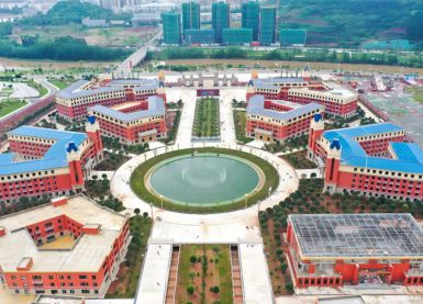 成都文軒職業學校雷電預警系統建設【易造防雷】