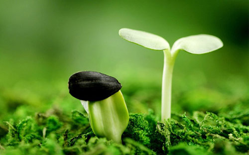 二十四節(jié)氣 | 驚蟄到,春意濃【杭州易造】 二十四節(jié)氣 | 驚蟄到,春意濃【杭州易造】