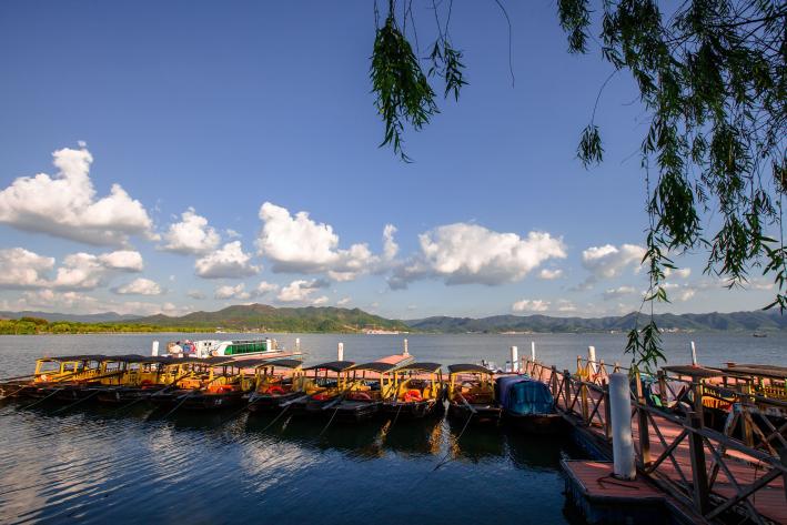 電源浪涌保護器 電源浪涌保護器