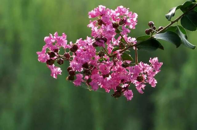 植樹節-春風十里,正“植”有你【杭州易造】 植樹節-春風十里,正“植”有你【杭州易造】