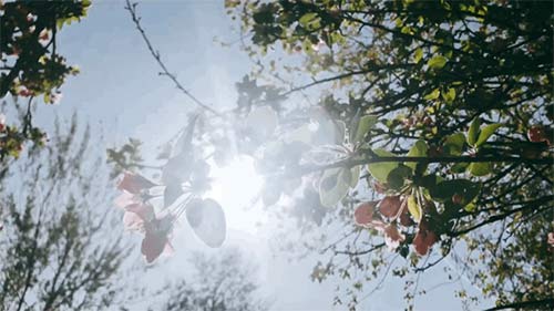 三八婦女節丨祝所有女神:愿你笑靨如花,一生不減芳華-杭州易造 三八婦女節丨祝所有女神:愿你笑靨如花,一生不減芳華-杭州易造